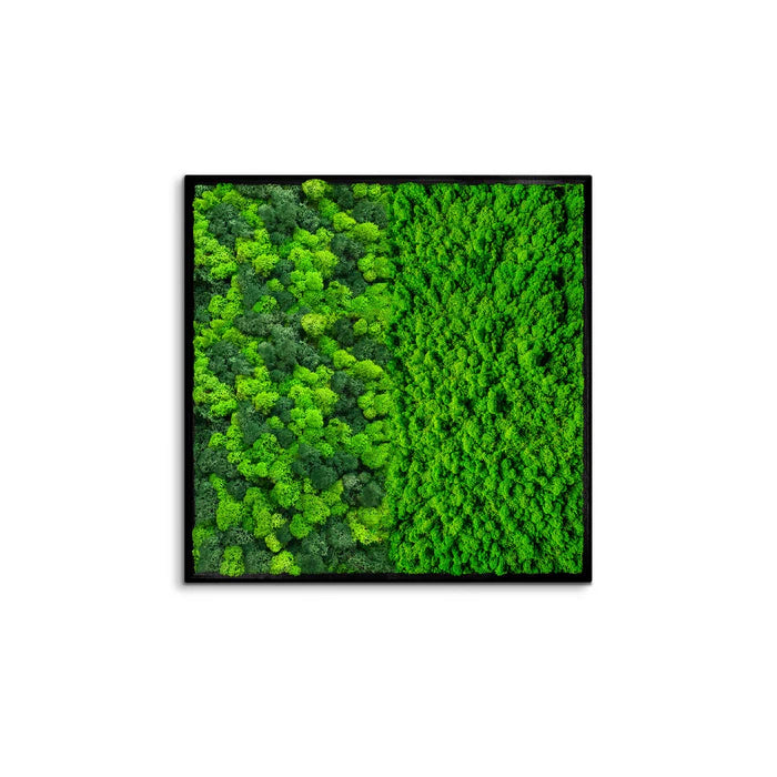 Half Moss Art Quadratischer Rahmen