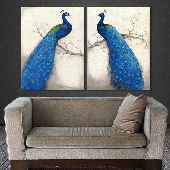 Pavo Pfau Stretched Canvas