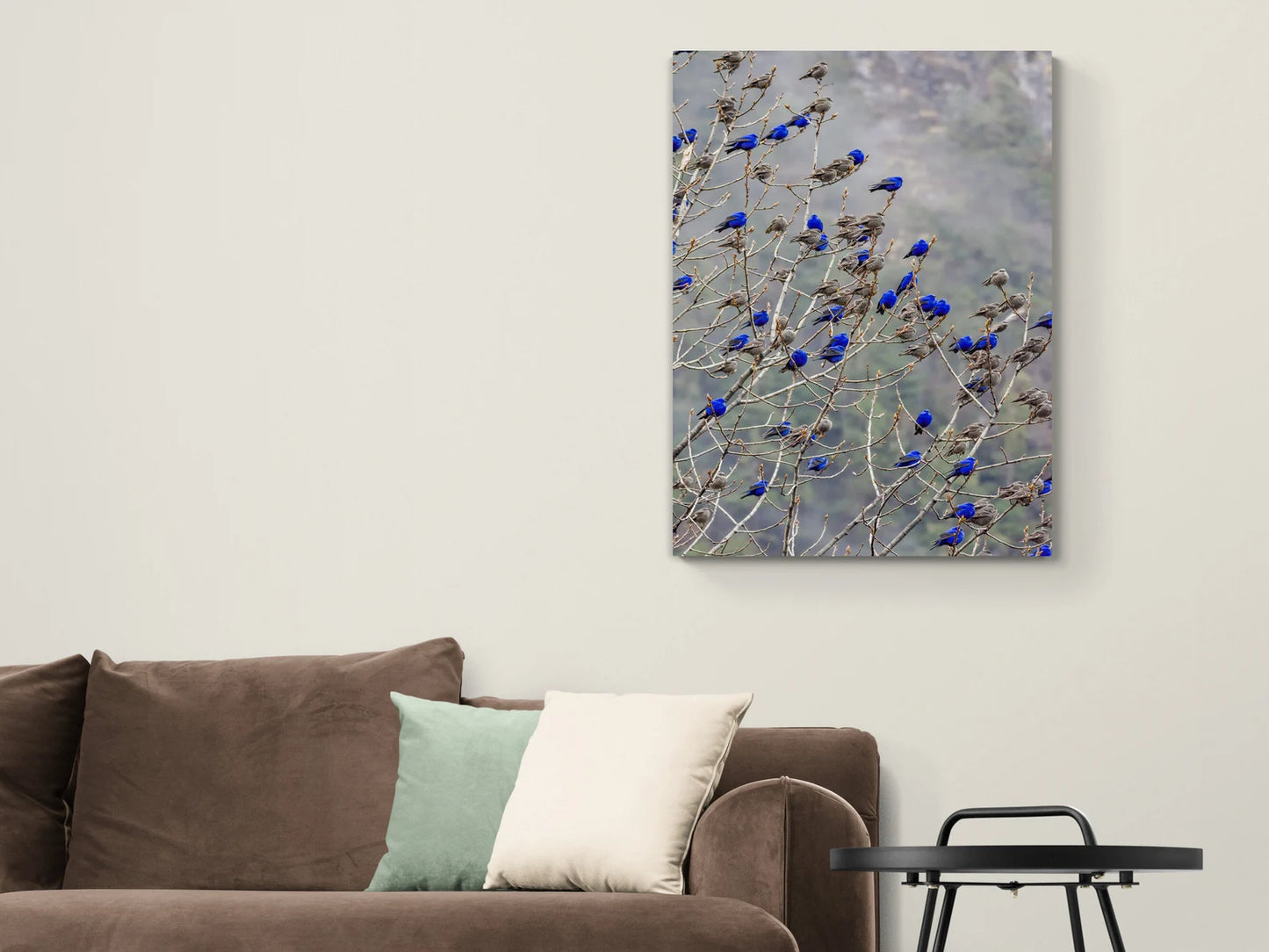 The Blue Birds Canvas