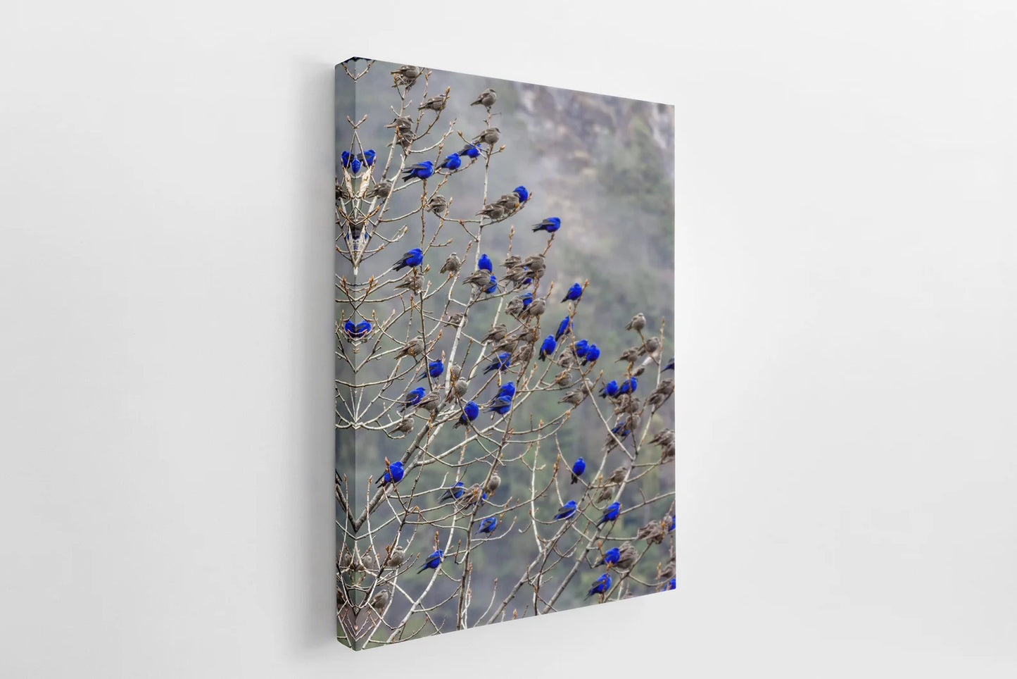 The Blue Birds Canvas