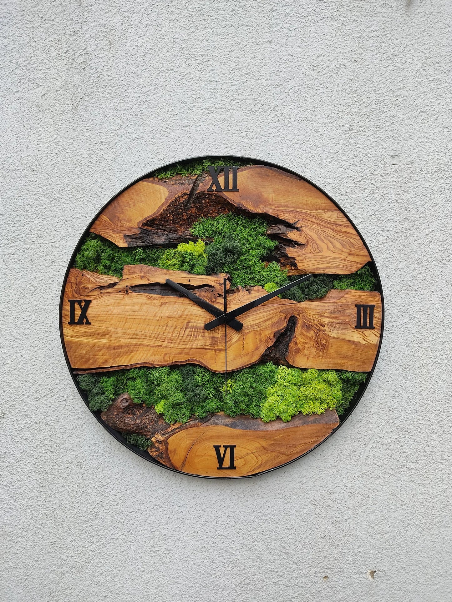 Olivenbaum Holz-Moos-Uhr