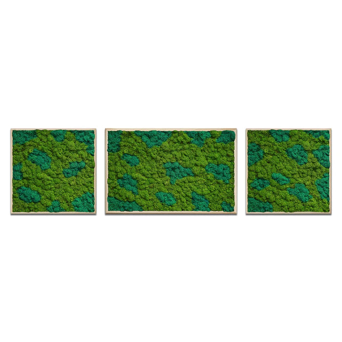 Moss Art Trio Multi Panel